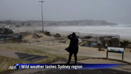 Wild weather lashes Sydney region