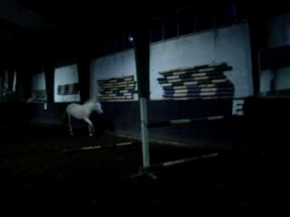 MOV01466