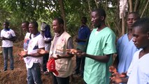 OMS: Agir sur tous les fronts contre le virus Ebola en Sierra Leone