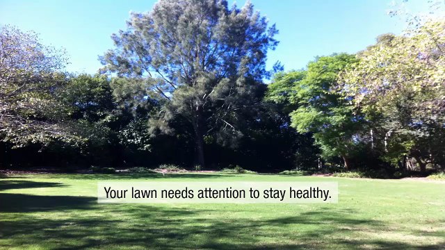 Entrusting Your Yard To A Reputable Lawn And Landscaping Services Company