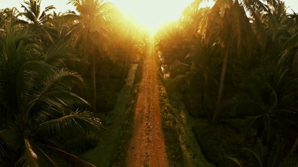 Magic  Flight: 3D Robotics Iris+ Review