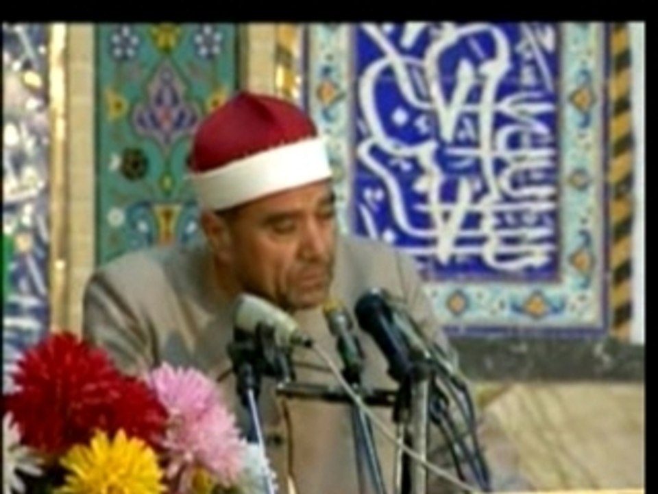 مصطفى غلوش