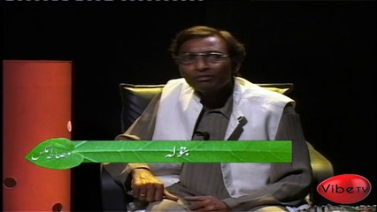 Masala Mix (Comedy Sitcom), Episod 5 (Part-2)