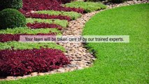Professional Lawn Care And Landscaping Services