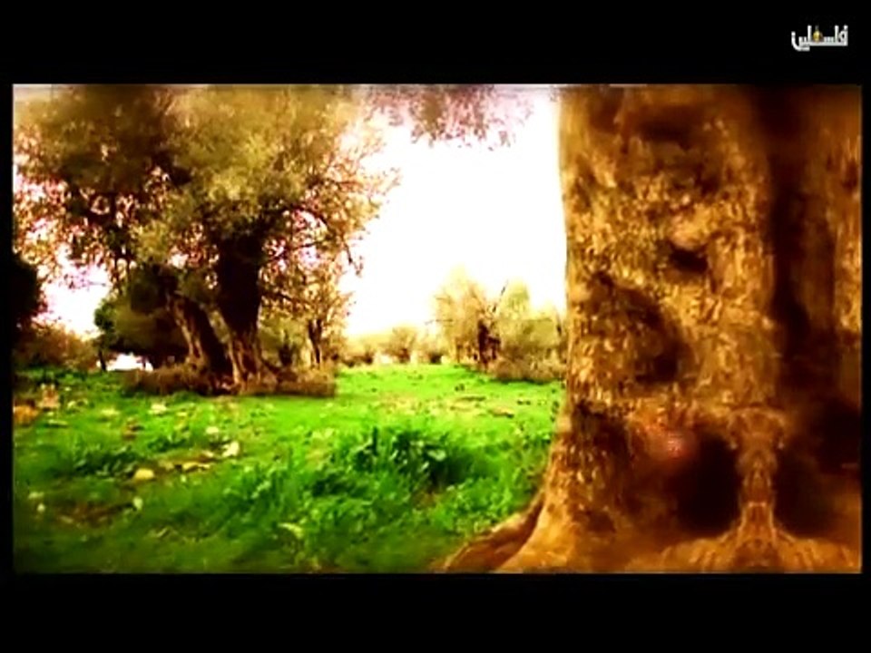 هذا الصباح 21-4-2015 ج1