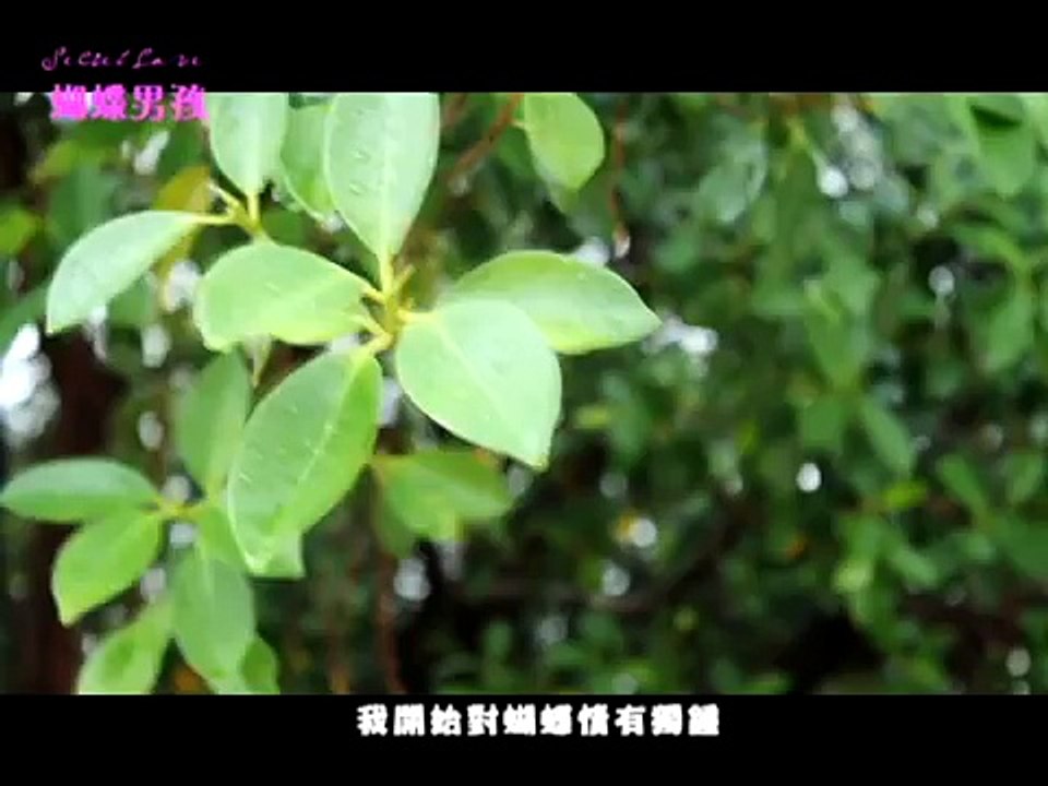 銘傳大學第29期海青班個人畢業短片作品-林俊相【 蝴蝶男孩】Chapter 1.avi