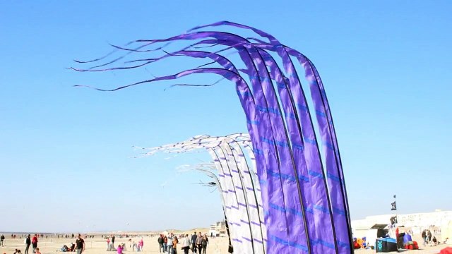 D'Epinal à Berck pour les cerfs-volants