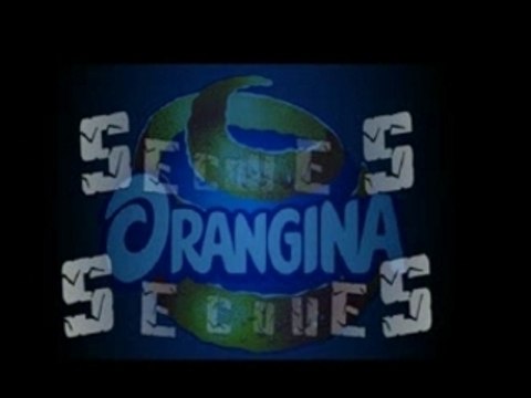 Pub Orangina Secoues