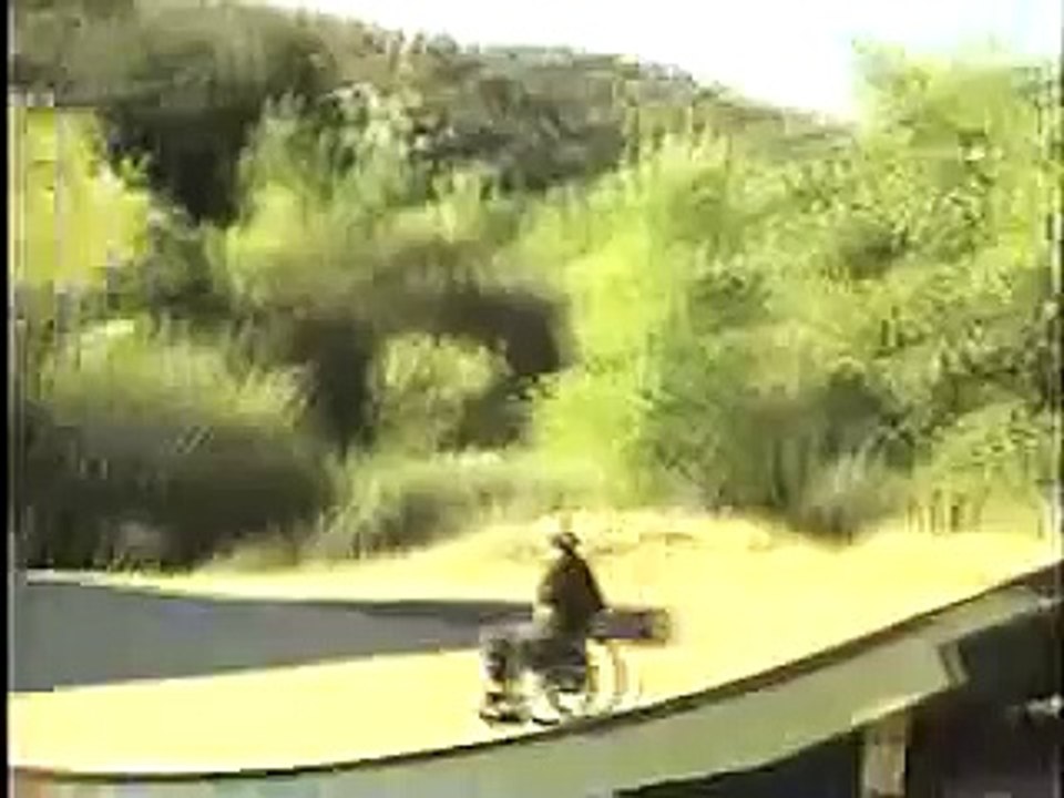 Extreme Wheelchair Skater - Darwin Holmes