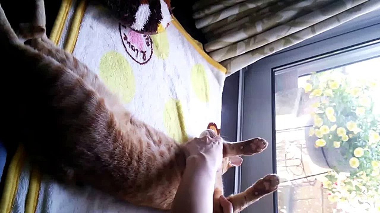 CUTZE AM RELAXEN SEIN TUN