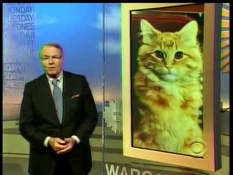 Dewey the Cat-CBS Sunday Morning