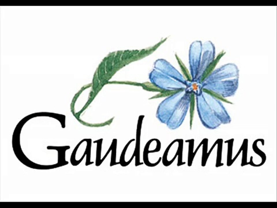 various artists gaudeamus igitur