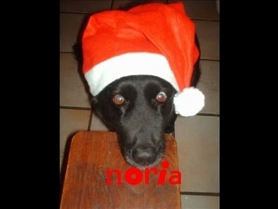 Joyeux noel