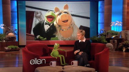 Ellen Meets Kermit!