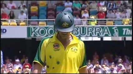 Cricket - Ducks, Ducks AND......Ducks !! LOL