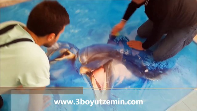 3boyutzemin.com, Art House 3 Boyut Zemin Kaplama, Polimerik Zemin, 3 D Foto Dekor, Yapı Dekorasyon, 3 Boyut Dekor