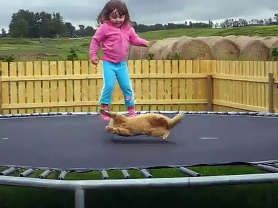 Poor kitty stuck on Trampoline with a little girl : so funny!