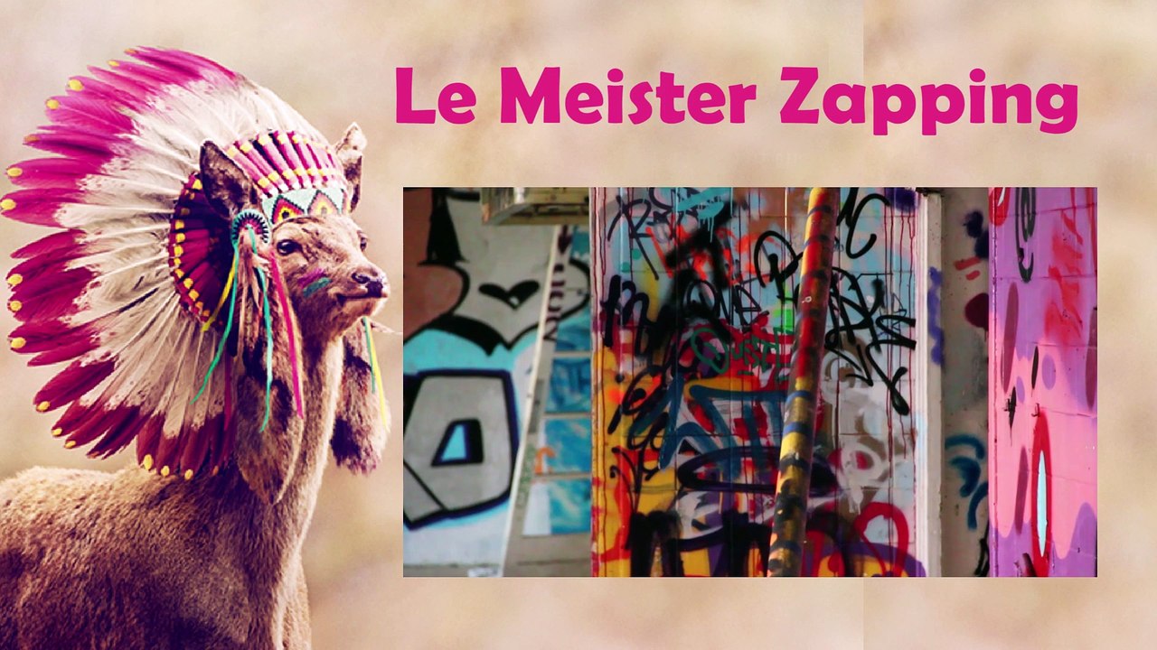 Meister Zapping