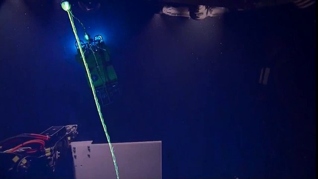 Una ballena increíble impide investigación a 2.000 metros de profundidad