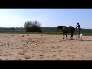 prépa défis avril 2015 montés Volt