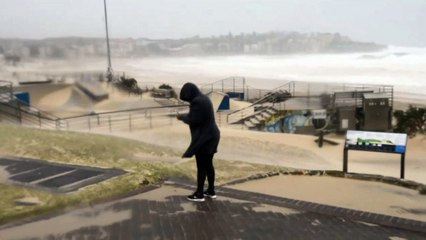 Wild weather lashes Sydney region