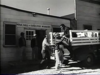 Salt of the Earth (1954) Taft-Hartley