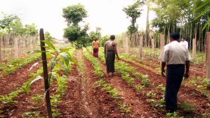 Bodenerosion weltweit - Ursachen und Lösungen | Global 3000