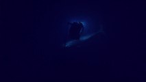 Un sous-marin rencontre un cachalot