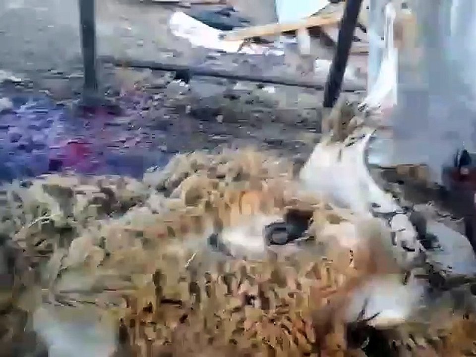 How Goat Skin Remove ?