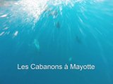 Les Cabanons à Mayotte