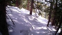 Tree skiing - jumps and bumps