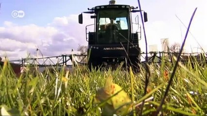 Land - They Aren't Making any More of It! | Global 3000