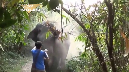 ERKEKLİĞİN KİTABINI YAZAN FOTOĞRAFÇI