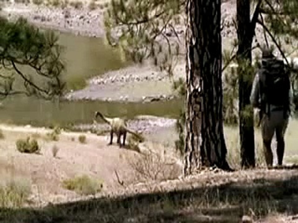 Paseando con dinosaurios (2 de 3)