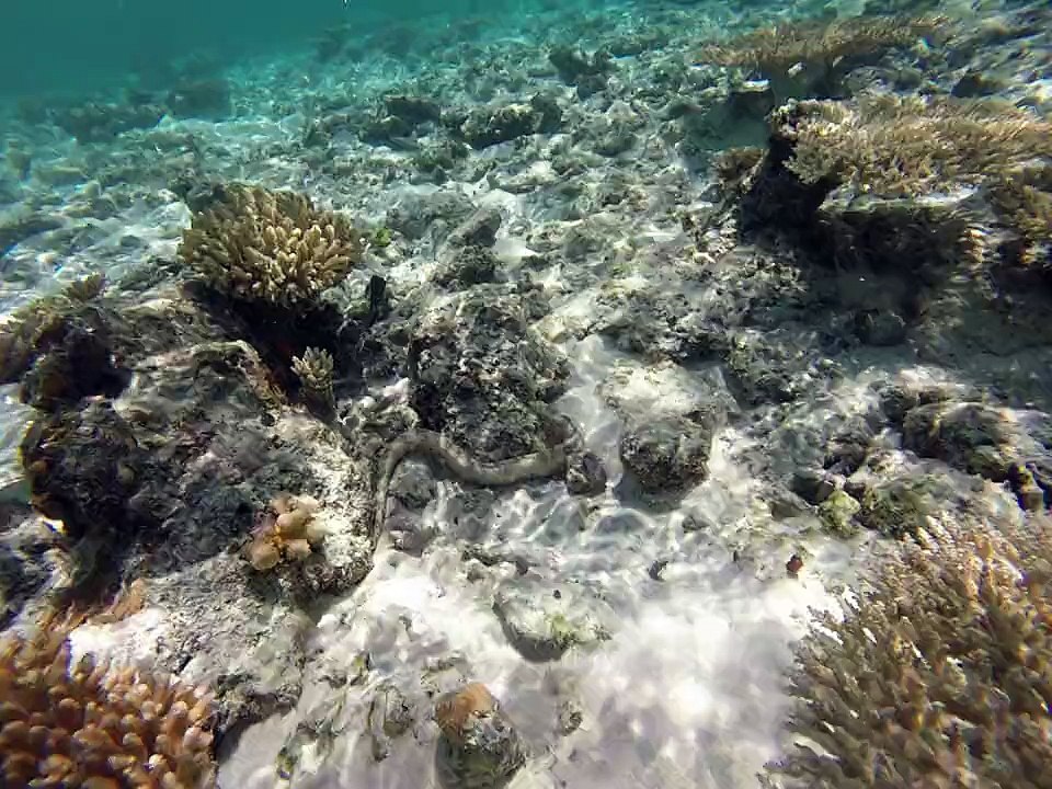 Les Cabanons à Mayotte