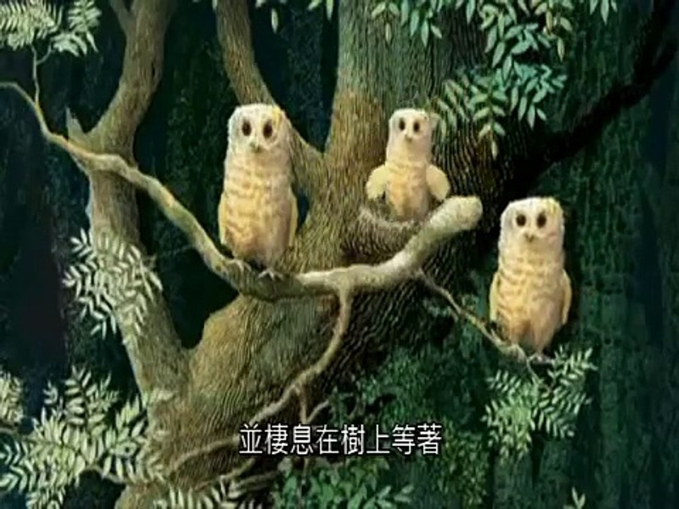 Owl Babies-世界暢銷兒童繪本動畫精選