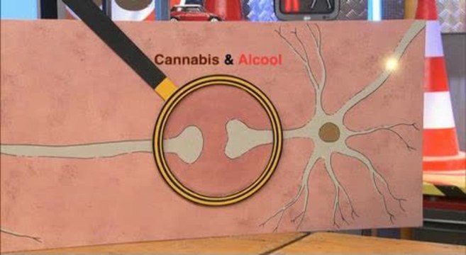 C'est Pas Sorcier : les effets de l'alcool associé au cannabis