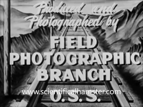 Derailing a Steam Locomotive - US Military Railroad Sabotage Testing on Trains WW2 1944