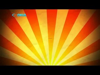 Kuş Bezi - Saçma İcatlar