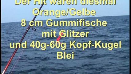 Dorsch Angeln in der Ostsee - Dorschangeln Heiligenhafen