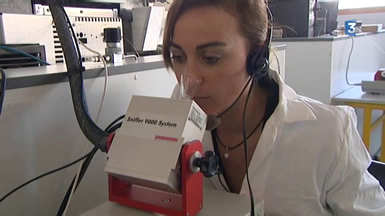 Le Havre : le laboratoire universitaire recrée l'odeur d'une personne