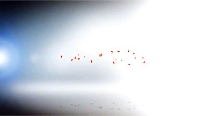 After Effects Project Files - Shake Logo Reveal - VideoHive 9953342