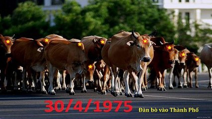 Tưởng Niệm Quốc Hận 30-4