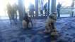 Star Wars Celebration : Un garçon en fauteuil danse avec R2-D2