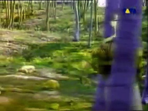 juan luis guerra burbujas de amor