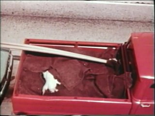 Three Stooges Dinopoodi