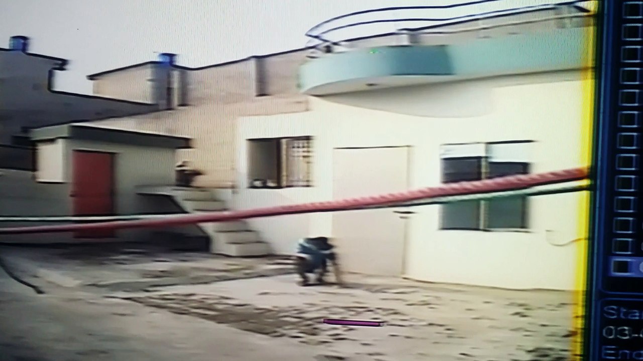 attack of eagle on chicken