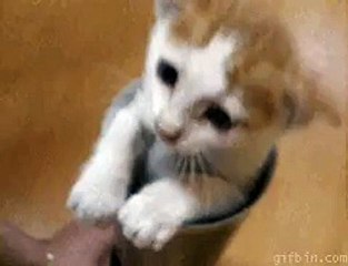 why so serious? funny video