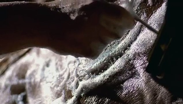 Kuran Filmleri - Necm Suresi 38-44-Mobile