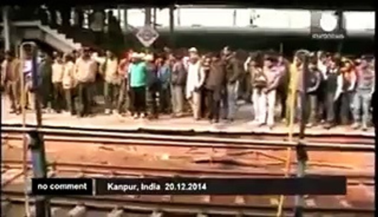 Elektirik Çarpan Maymunu Hayata Döndüren Maymun